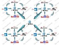 �齫��ı�Ӯ���ؾ���Ƶ�����Ϸ�����������ɱ�˺��ճ��ط�Ժ�ϰ�(ͼ)...